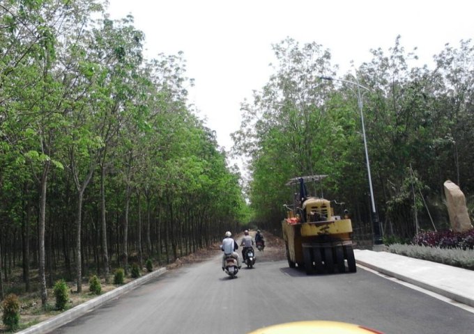 Bán Đất Nền Dự Án Cách Đường Cao Tốc Bắc Sơn - Long Thành Đồng Nai khoảng 300m