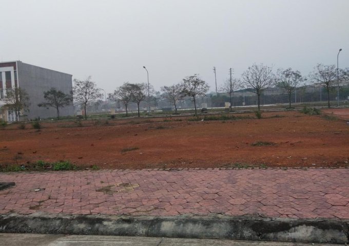 Bán đất nền dự án Khu đô thị Minh Phương - tp Việt Trì - Phú Thọ diện tích 90m2 với giá 700tr
