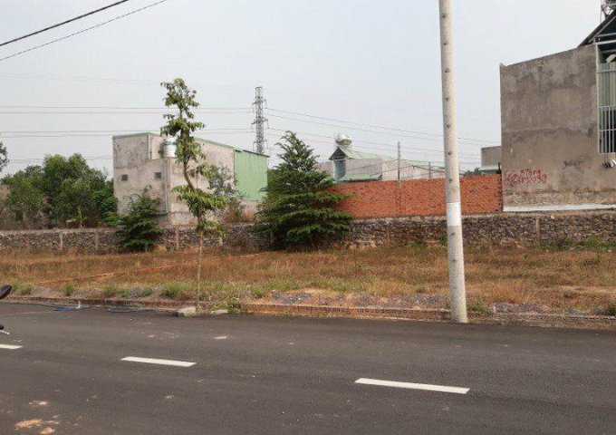Bán đất sổ riêng thổ cư giá đầu tư tại phường Tam Phước, Biên Hòa, Đồng Nai, DT 100m2, giá 900tr
