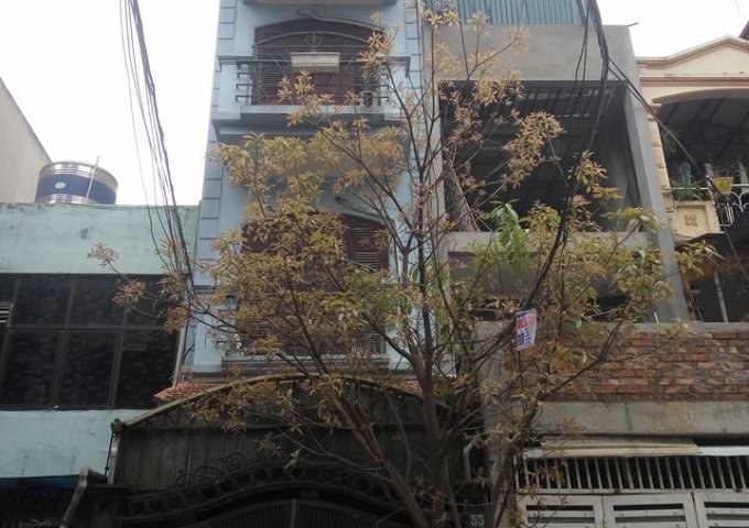 Bán nhà nở hậu, vị trí đẹp, ô tô đậu trước nhà, phố Ngọc Khánh