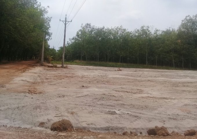 Bán đất tại Xã Minh Hưng, Chơn Thành, Bình Phước, diện tích 212.5m2, giá 300 triệu