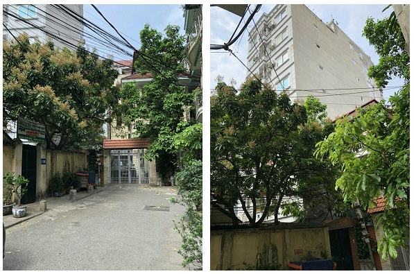 Bán CHCC P.703 số 26 ngõ 773 Giải Phóng, 1,05 tỷ, 0942538302