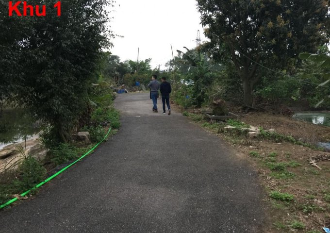 Cần bán 10000m2 đất trang trại xã Đông Mỹ, huyện Thanh Trì