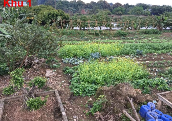 Cần bán 10000m2 đất trang trại xã Đông Mỹ, huyện Thanh Trì