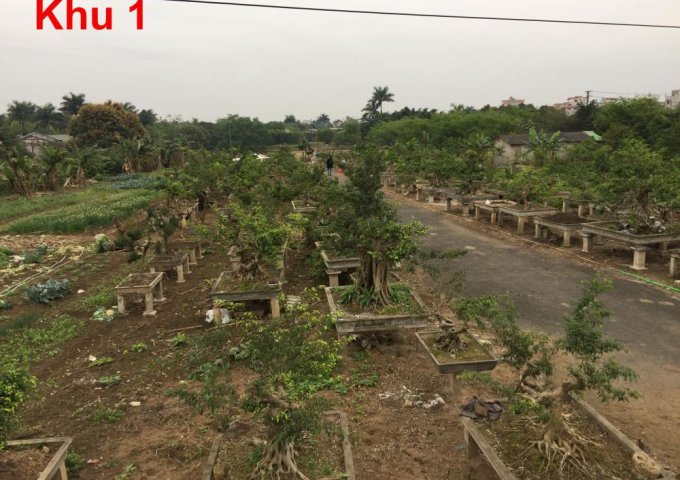 Cần bán 10000m2 đất trang trại xã Đông Mỹ, huyện Thanh Trì