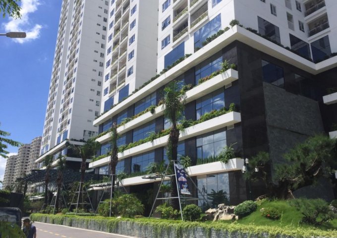 Cho thuê căn hộ 75m2, tầng 20 tại chung cư Ecolife Capital - Số 58 Tố Hữu, Hà Nội