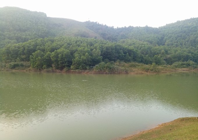 Tìm đối chuyển nhượng dự án 50 ha đất làm dự án tại huyện Kỳ Sơn, tỉnh Hòa Bình
