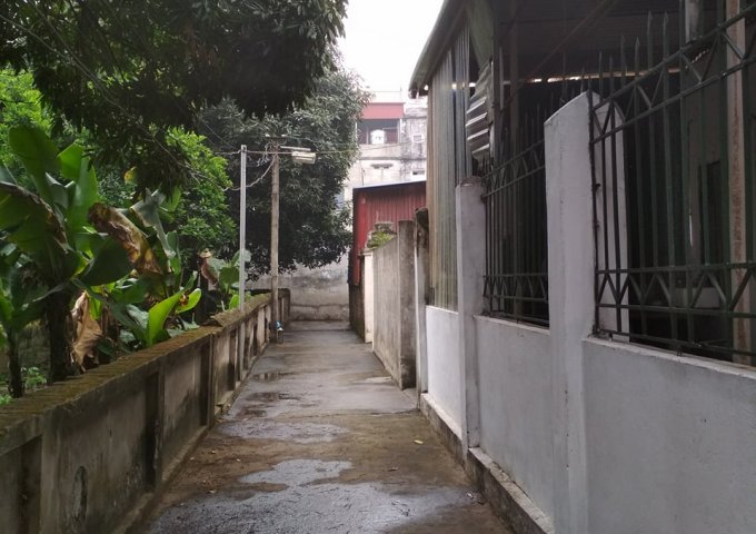 Chính chủ bán đất tổ 20, phường Thượng Thanh, diện tích 80m2, giá rẻ. LH Ninh 0931705288