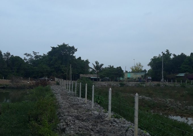 Bán Đất Vườn 7000m2 Tại Phú An, Bến Cát, Bình Dương Giá 9 Tỷ