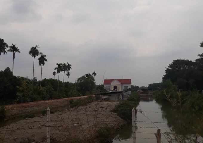 Bán đất tại Xã Phú An, Bến Cát,  Bình Dương diện tích 8000.0m2  giá 6.5 Tỷ