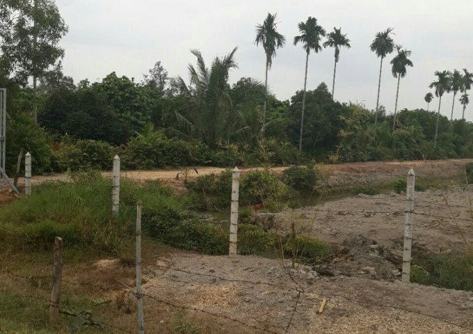 Bán đất tại Xã Phú An, Bến Cát,  Bình Dương diện tích 8000.0m2  giá 6.5 Tỷ