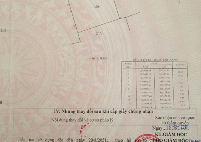 Bán đất Hóc Môn chính chủ, giá rẻ, sổ hồng riêng đường Phạm Thị Giây