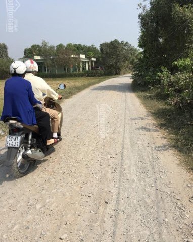 Bán đất thổ cư đường Đập bình lợi , xã hòa khánh đông , đức hòa long an gần đường N2 giá 60tr/m 