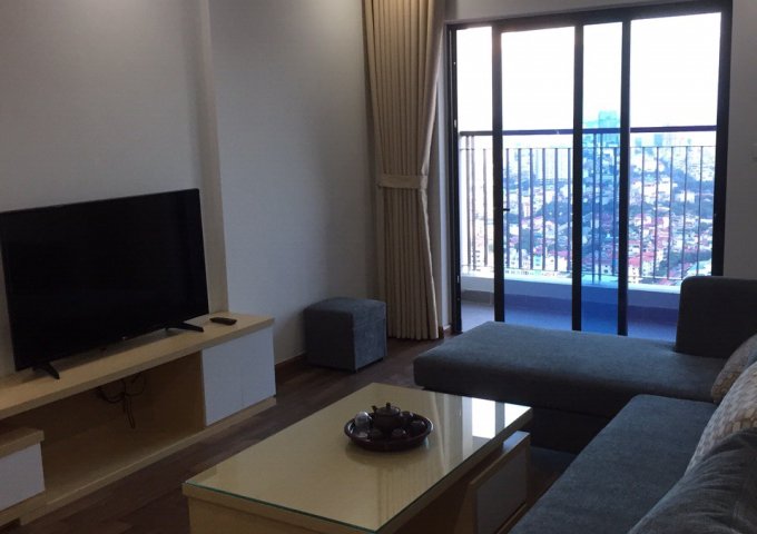 Cho thuê căn hộ chung cư Hà Đô - Công viên Cầu Giấy, 127m2, 3 phòng ngủ, đủ đồ, giá 12 triệu/tháng