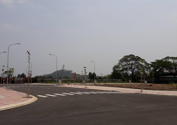 Bán đất đường Nguyễn An Ninh, Dĩ An, Bình Dương ngay Big C - Quốc Lộ 1K, đường 12m, SHR, XDTD