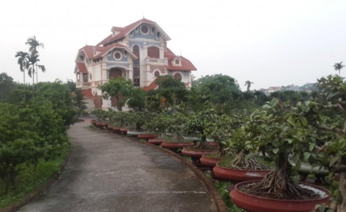 HOT HOT bán gấp 8000m nghỉ dưỡng tại Quốc Lộ 32 Phúc Thọ, Hà Nội