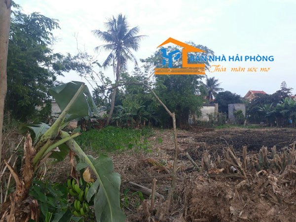 Bán đất tại thôn Đồng Dụ, xã Đặng Cương, huyện An Dương, Hải Phòng