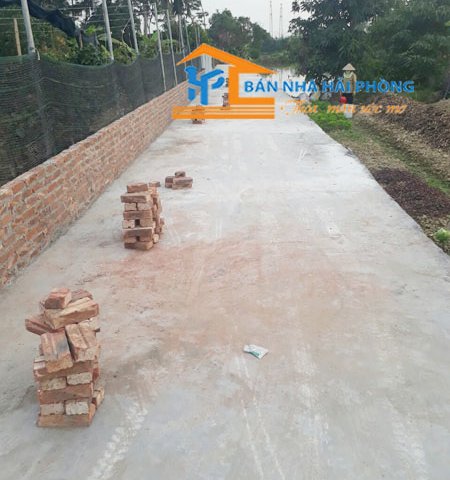 Bán đất tại thôn Đồng Dụ, xã Đặng Cương, huyện An Dương, Hải Phòng