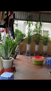 Chính chủ bán nhà số 36 tổ 3 phường nghĩa đô ngõ 175/42 Lạc Long Quân, Cầu Giấy, Hà Nội 