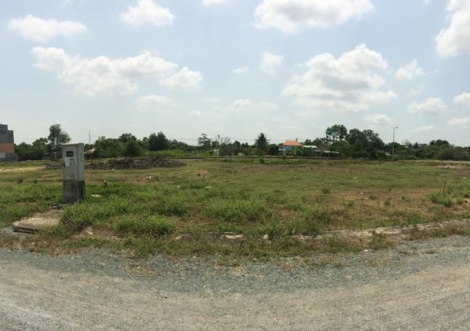 Bán lô biệt thự dự án Rạng Đông, đường Đinh Đức Thiện, gần chợ Bình Chánh, DT 10x20m, giá 8.5tr/m2