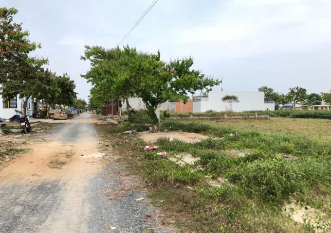 Bán đất tại Đường Đinh Đức Thiện, Bình Chánh,  Hồ Chí Minh diện tích 80m2  giá 5000000 Triệu