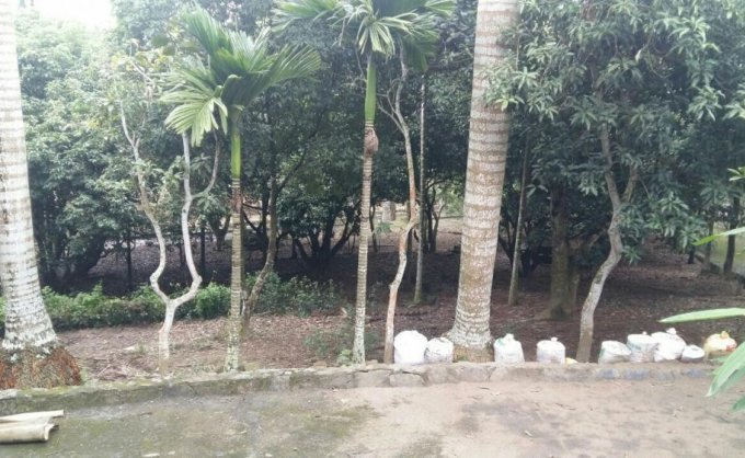 Cần bán mảnh đất thổ cư khuôn viên hoàn thiện tại xã Cư Yên, huyện Lương Sơn, tỉnh HB.