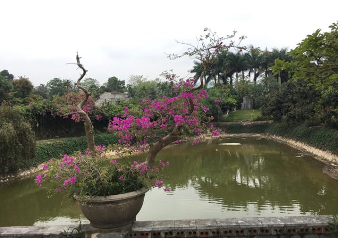Cần chuyển nhượng căn biệt thự đẹp của khu vực, xã Hòa Sơn, huyện Lương Sơn, tỉnh Hòa Bình