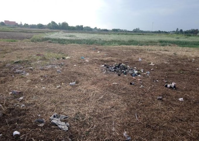 Bán 3 công đất cặp bờ sông Cần Giuộc, Mỹ Lộc, Long An, đường nhựa xe 7 chổ