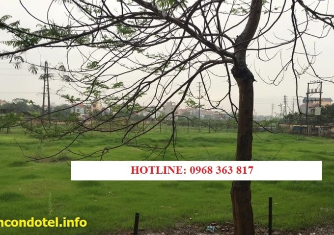 Bán biệt thự hot KĐT mới Như Quỳnh Diamond Park, Hưng Yên