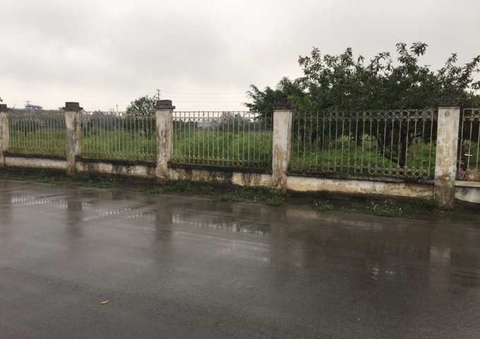 Bán biệt thự hot KĐT mới Như Quỳnh Diamond Park, Hưng Yên