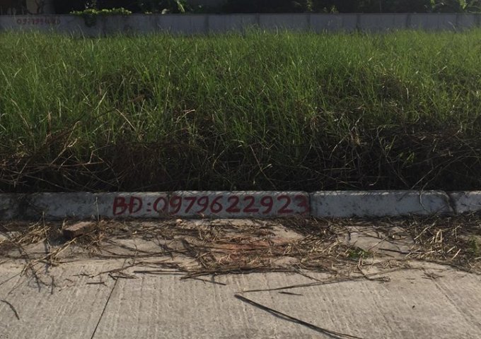 Hot, bán đất mặt phố khu Việt Hưng, 330m2, MT 17m, giá 69tr/m2