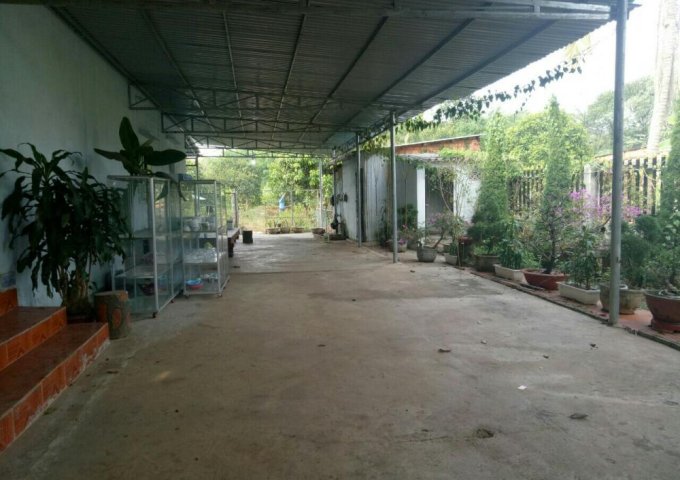 BÁN ĐẤT MẶT ĐƯỜNG QUỐC LỘ 14 TÂN THÀNH ĐỒNG XOÀI