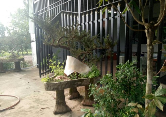 BÁN ĐẤT MẶT ĐƯỜNG QUỐC LỘ 14 TÂN THÀNH ĐỒNG XOÀI