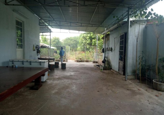 BÁN ĐẤT MẶT ĐƯỜNG QUỐC LỘ 14 TÂN THÀNH ĐỒNG XOÀI