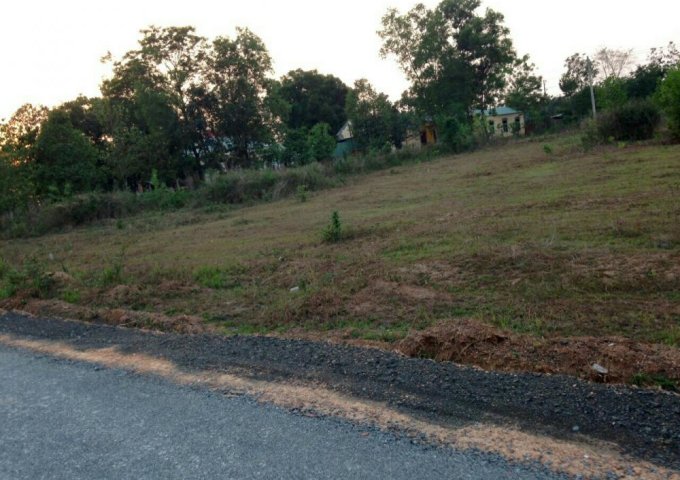Bán đất tại Xã Tân Phước, Đồng Phú,  Bình Phước diện tích 298m2  giá 750 Triệu
