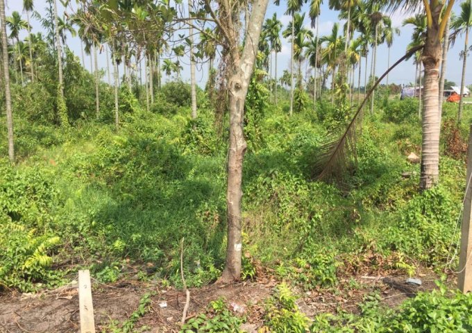 Bán Đất Gần Cầu Rạch Tra Bình Mỹ, Củ Chi. 1000m2 giá 3.2tr/m2. 