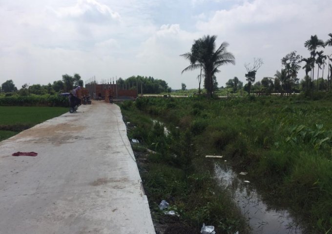 Bán Đất Gần Cầu Rạch Tra Bình Mỹ, Củ Chi. 1000m2 giá 3.2tr/m2. 