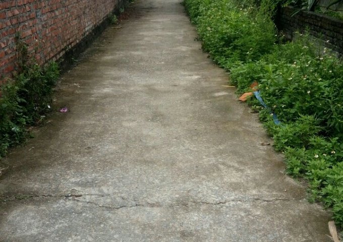 Bán 75.5m2 đất tại thôn Xích Thổ, Hồng Thái, An Dương, Hải Phòng. Giá 260 triệu