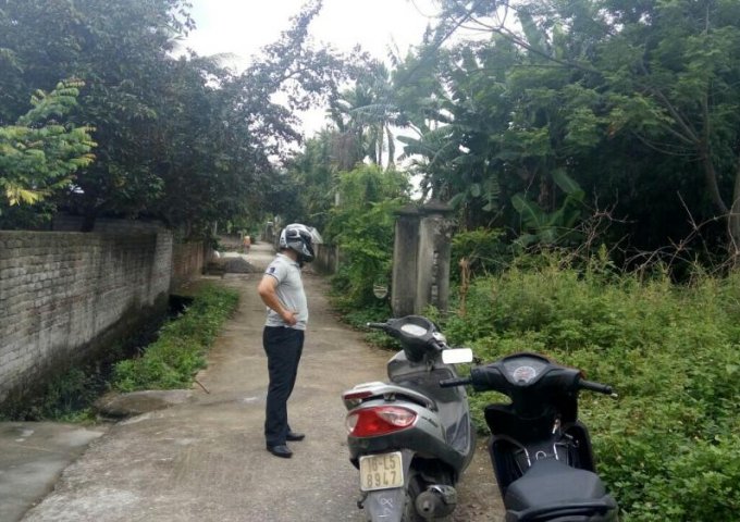 Bán 75.5m2 đất tại thôn Xích Thổ, Hồng Thái, An Dương, Hải Phòng. Giá 260 triệu