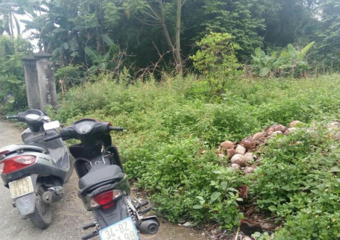 Bán 75.5m2 đất tại thôn Xích Thổ, Hồng Thái, An Dương, Hải Phòng. Giá 260 triệu