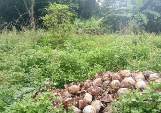 Bán 75.5m2 đất tại thôn Xích Thổ, Hồng Thái, An Dương, Hải Phòng. Giá 260 triệu