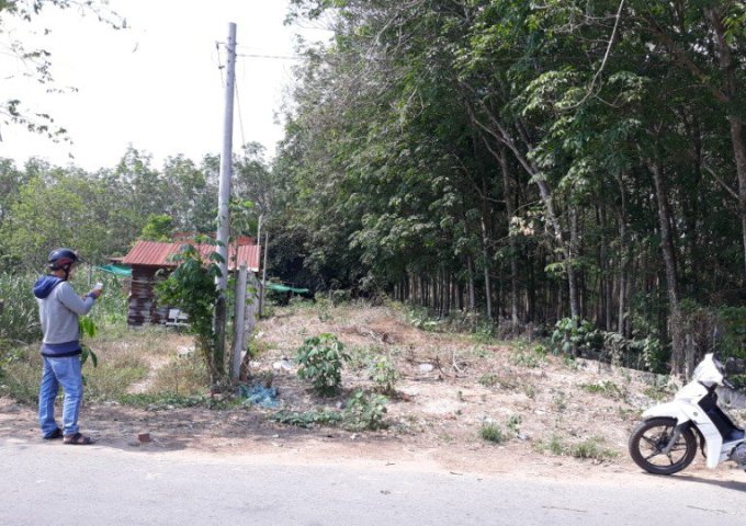 Bán gấp đất mặt tiền đường nhựa Võ Thị Bàng X. Phú Mỹ Hưng Củ Chi DT: 238,5 m2 (thổ cư 100%) SHR