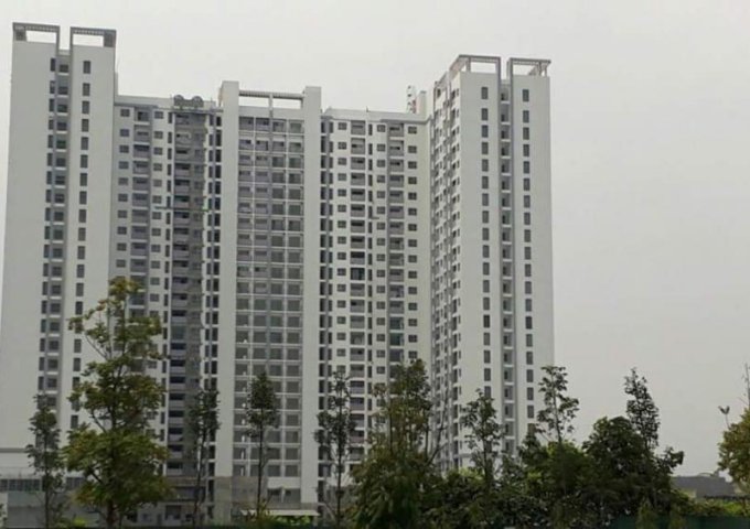 Bán căn hộ chung cư tại dự án Anland Nam Cường, Hà Đông, Hà Nội, diện tích 78m2, giá 22 triệu/m2