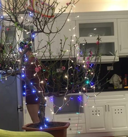 Chính chủ bán nhà số 263 đường Giáp Bát, phường Giáp Bát, Hoàng Mai, Hà Nội