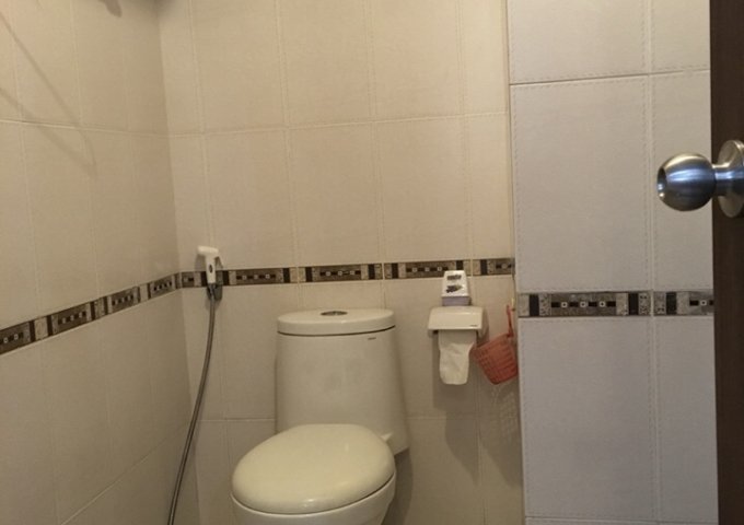 Cho thuê căn hộ cao cấp Parkson Hùng Vương, 126 Hùng Vương, Q5