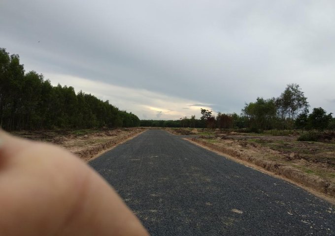 Mở bán dự án mặt tiền đường Hắc Dịch Tóc Tiên, Tân Thành, Bà RỊa - Vũng Tàu