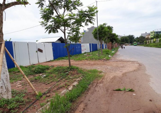 Bán đất biệt thự khu Tây Nam Linh Đàm, cạnh trường tiểu học Chu Văn An