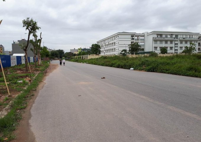 Bán đất biệt thự khu Tây Nam Linh Đàm, cạnh trường tiểu học Chu Văn An