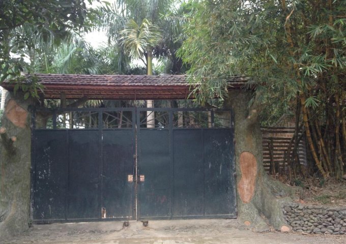 Cần bán đất nhà vườn tại Lương Sơn Hòa Bình diện tích 4851 m2.