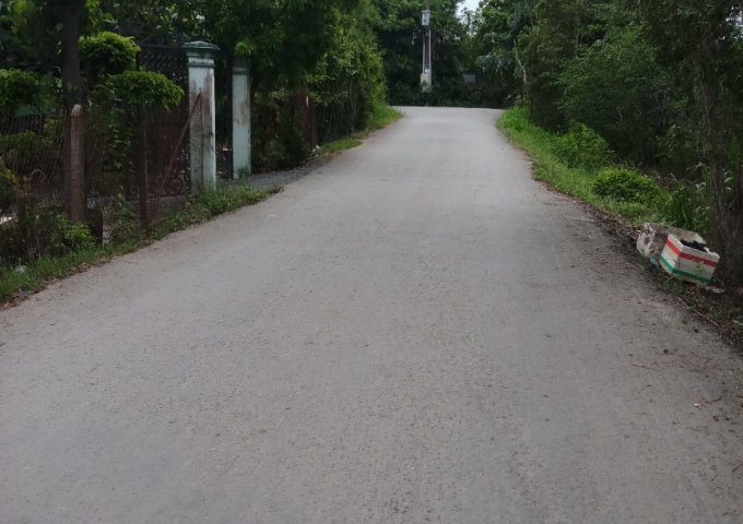 1600m2 mặt tiền đường T11, xã Tân Qúy Tây, huyện Bình Chánh